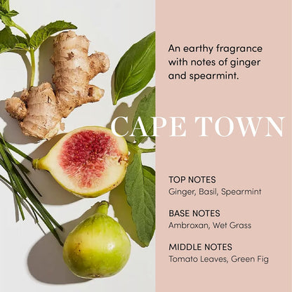 OUAI Scalp Serum – Balancing Hair Serum