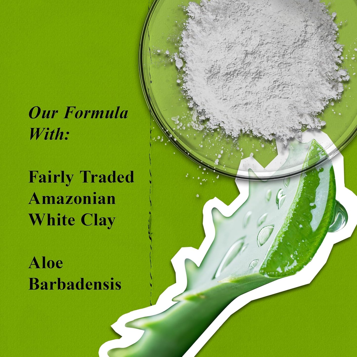 Kiehl’s Rare Earth Deep Pore Cleansing Mask – Oil-Minimizing, Detoxifying Face Mask with Amazonian White Clay & Aloe Vera